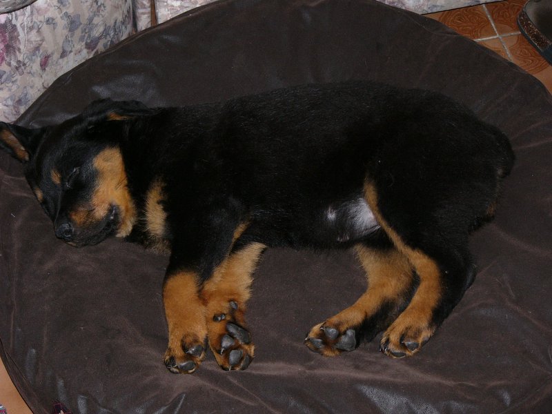 fotka