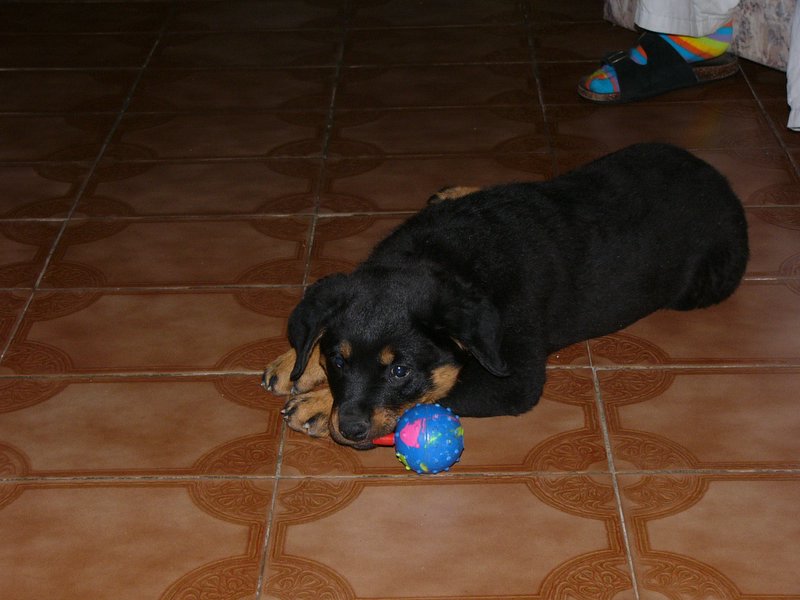 fotka